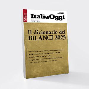 IL DIZIONARIO DEI BILANCI 2025